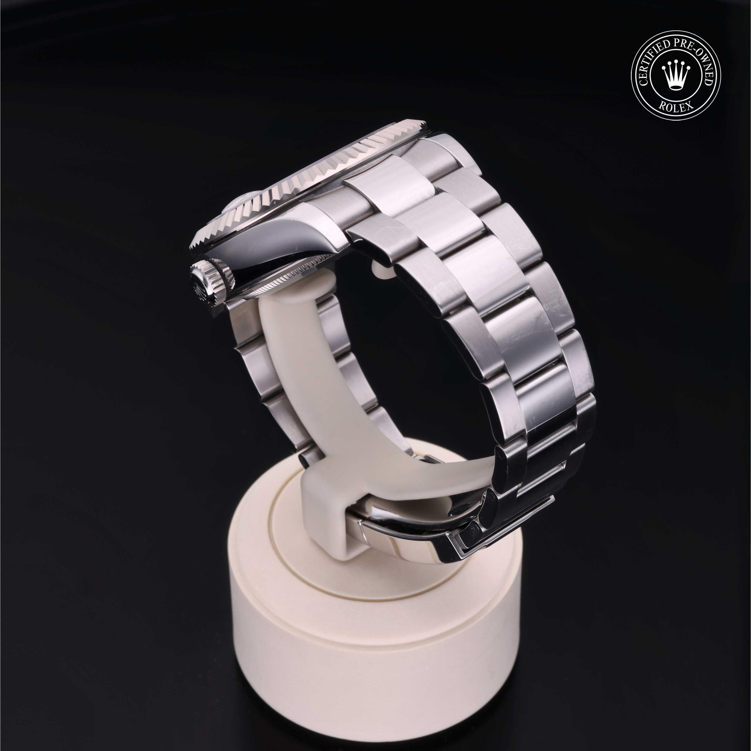 Sky-Dweller 360 image 15