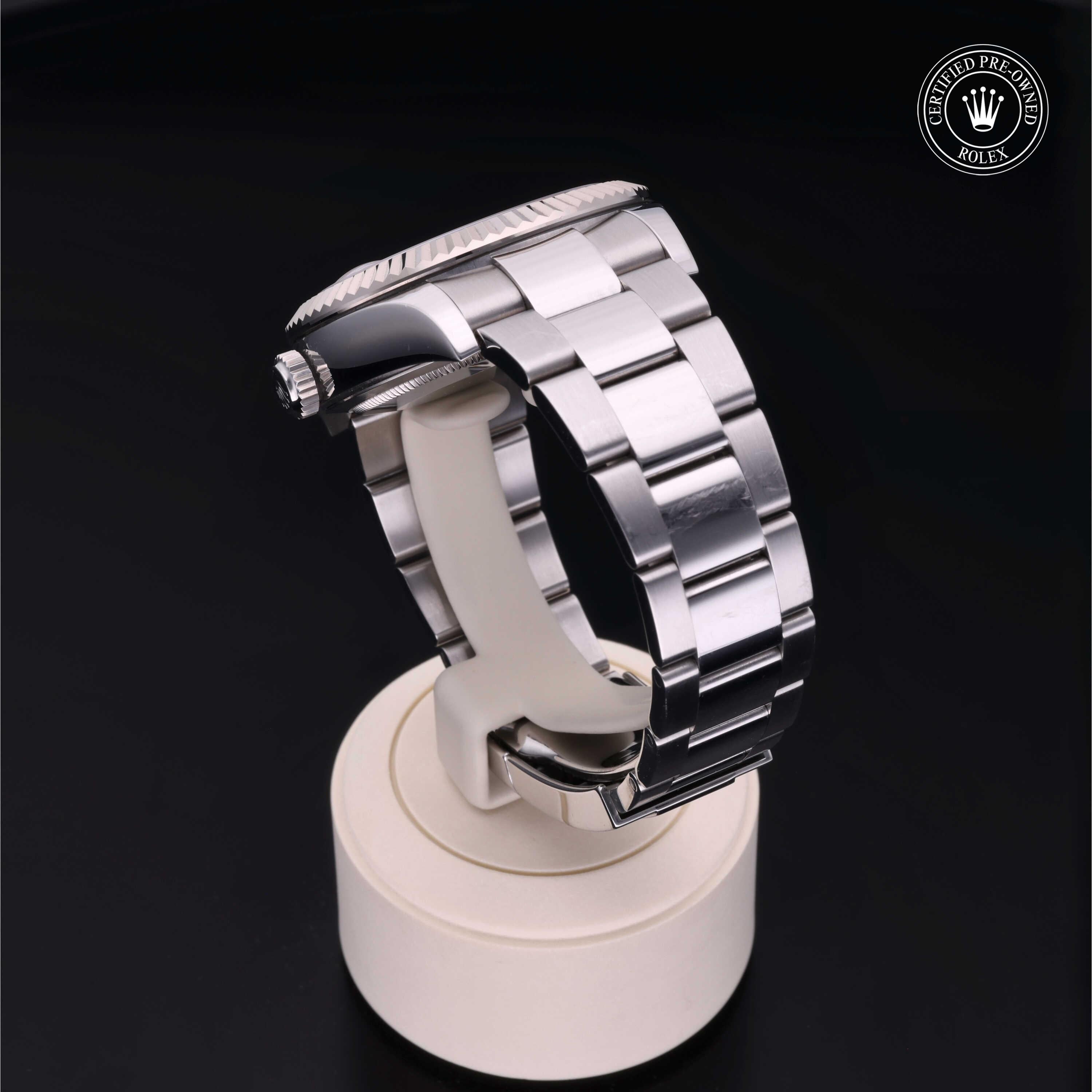 Sky-Dweller 360 image 16