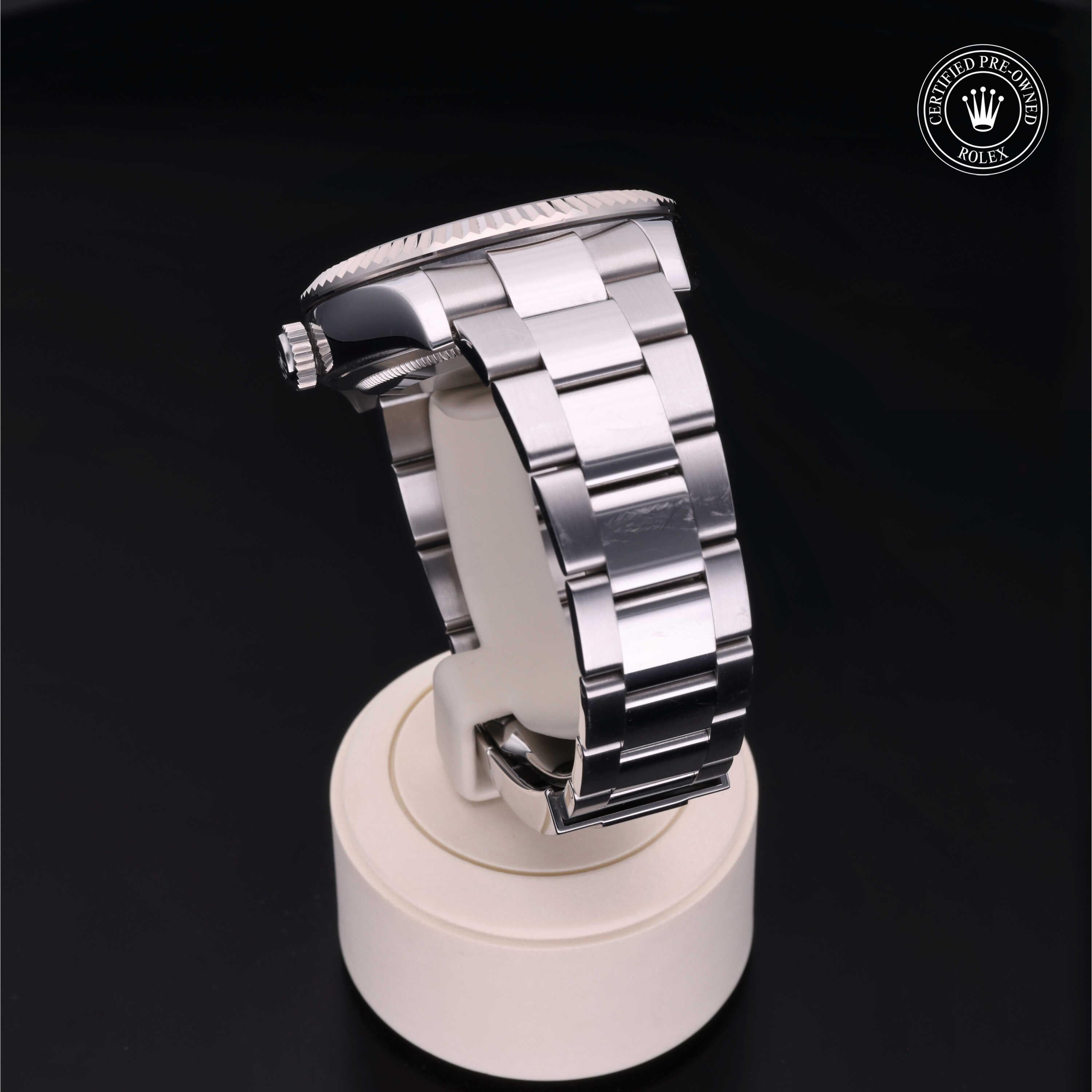 Sky-Dweller 360 image 17