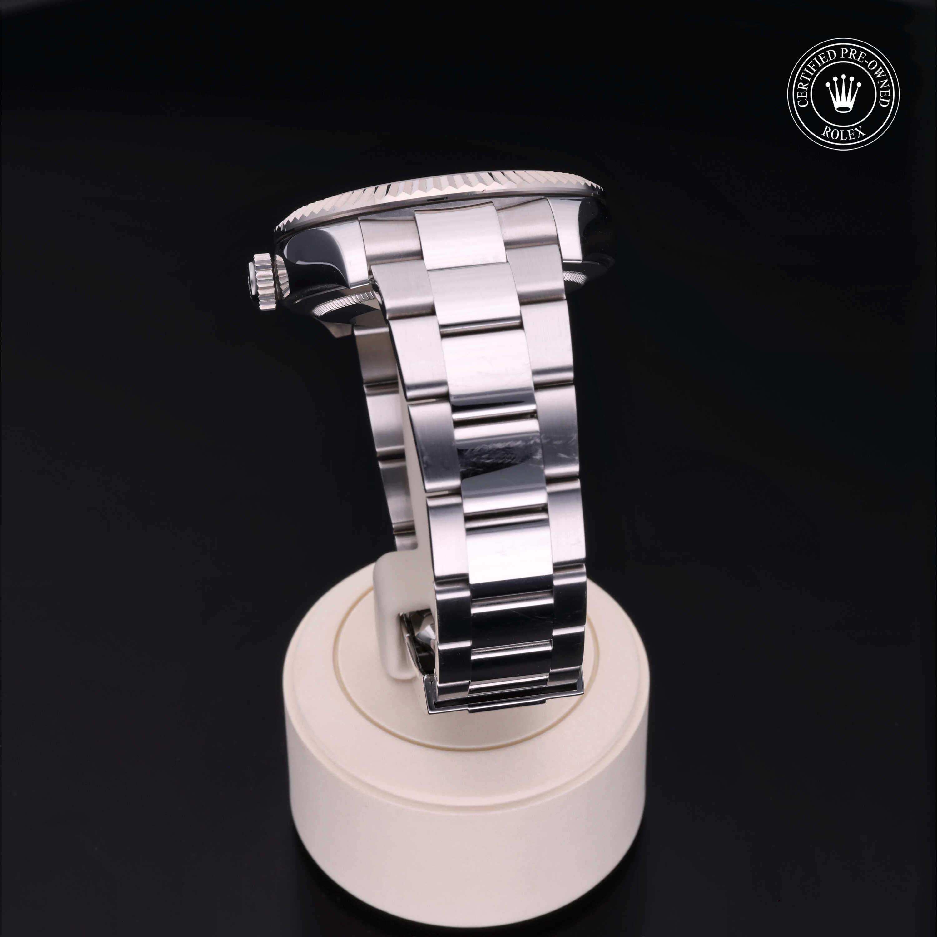 Sky-Dweller 360 image 18