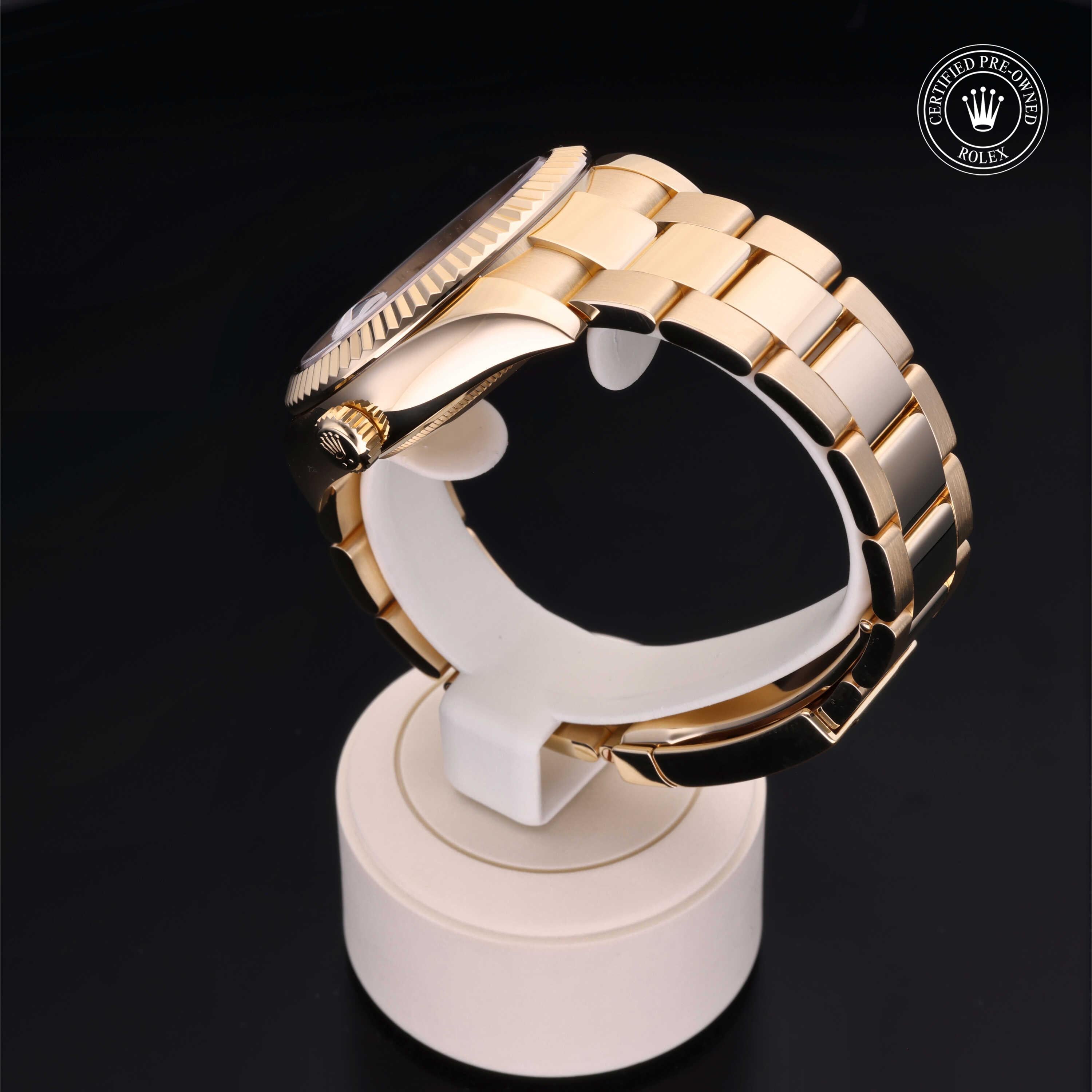 Sky-Dweller 360 image 13