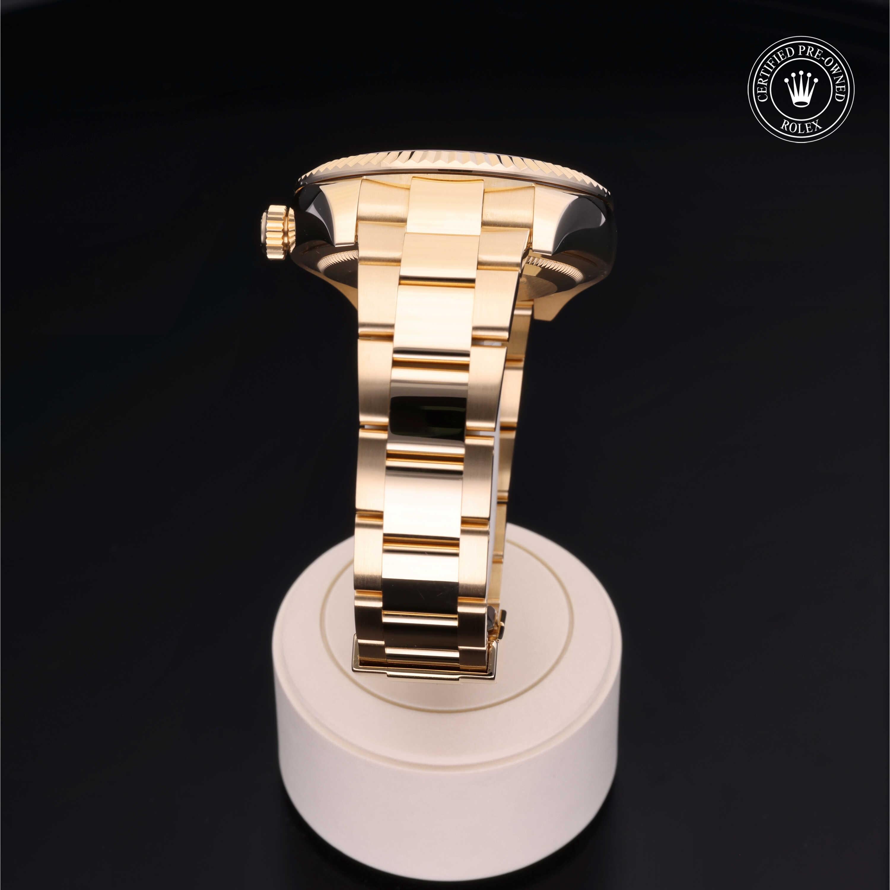 Sky-Dweller 360 image 19