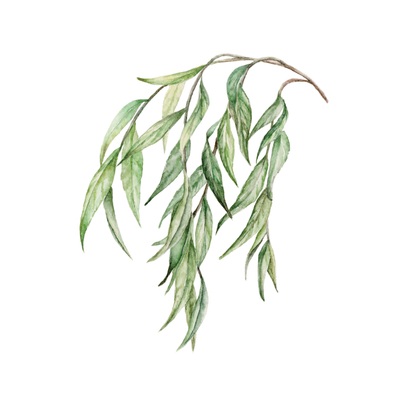 Elm from Grove: The Heritage Collection