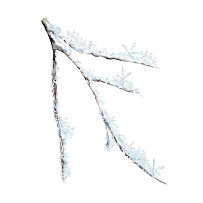 Frosted Grove from Grove: The Heritage Collection