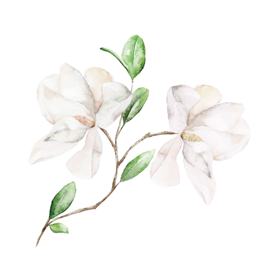 Magnolia from Grove: The Heritage Collection