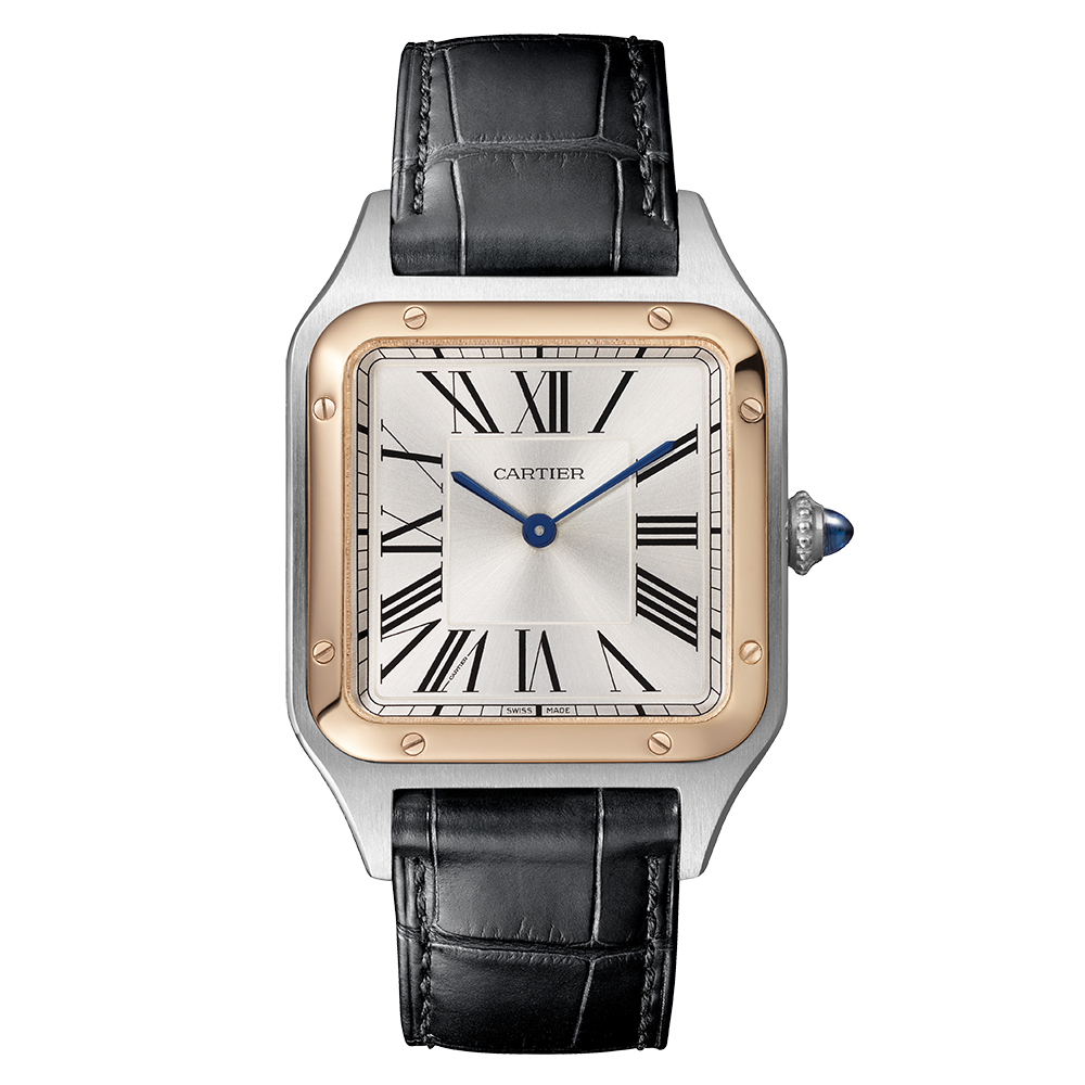 Cartier Santos-Dumont W2SA0011