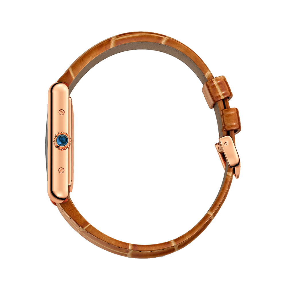 Cartier wgta0010 online