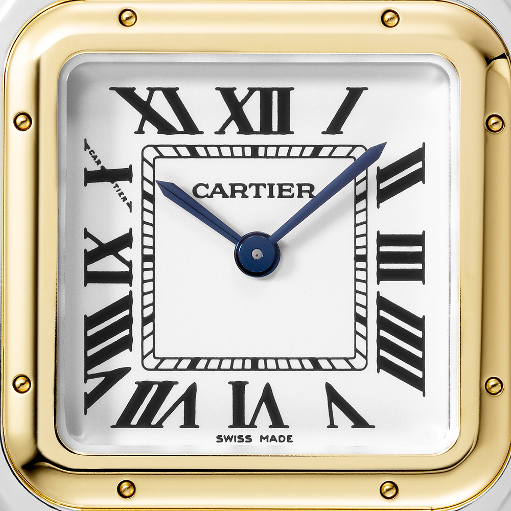 Cartier Panthère de Cartier Medium W2PN0007