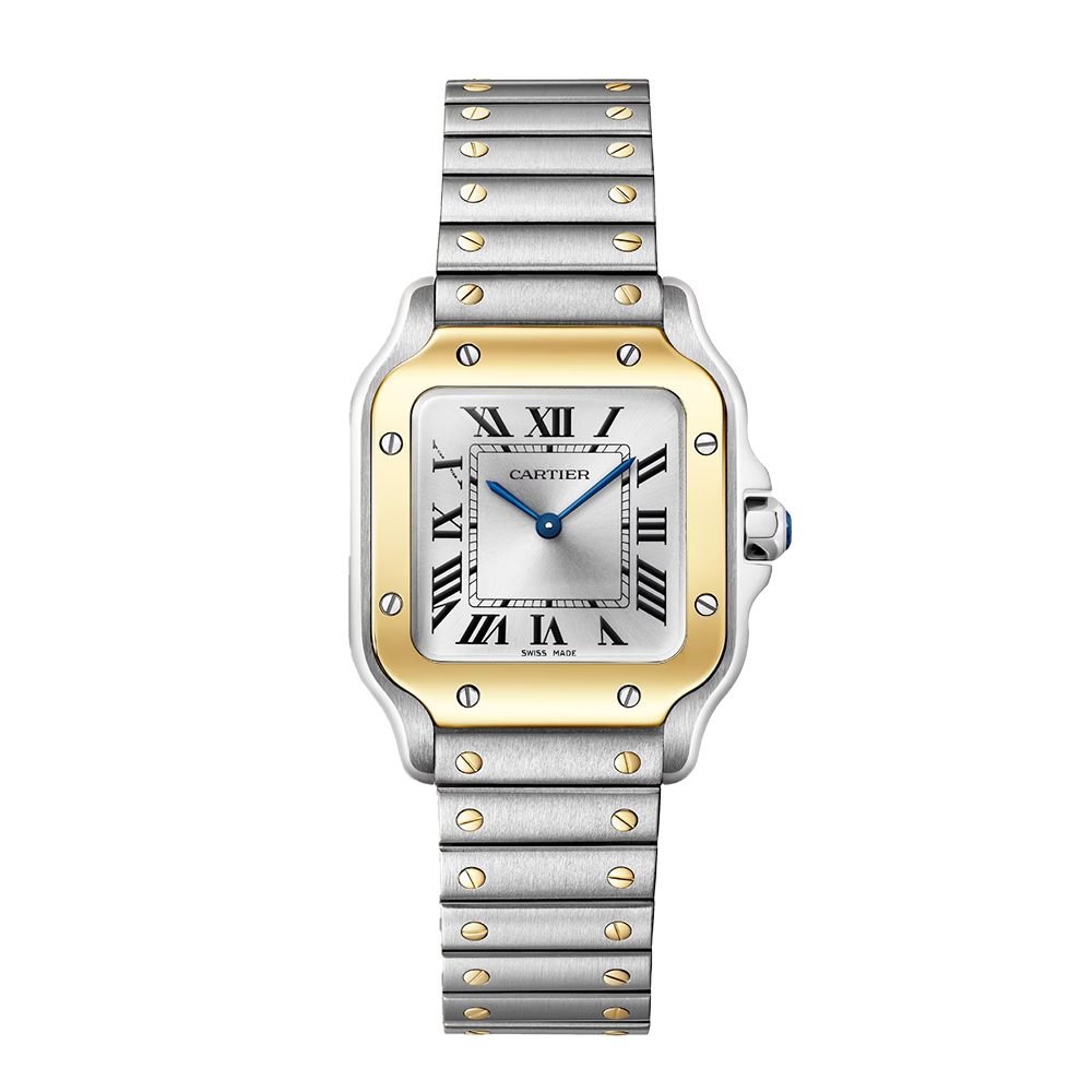 Cartier Santos de Cartier Small Watch W2SA0033