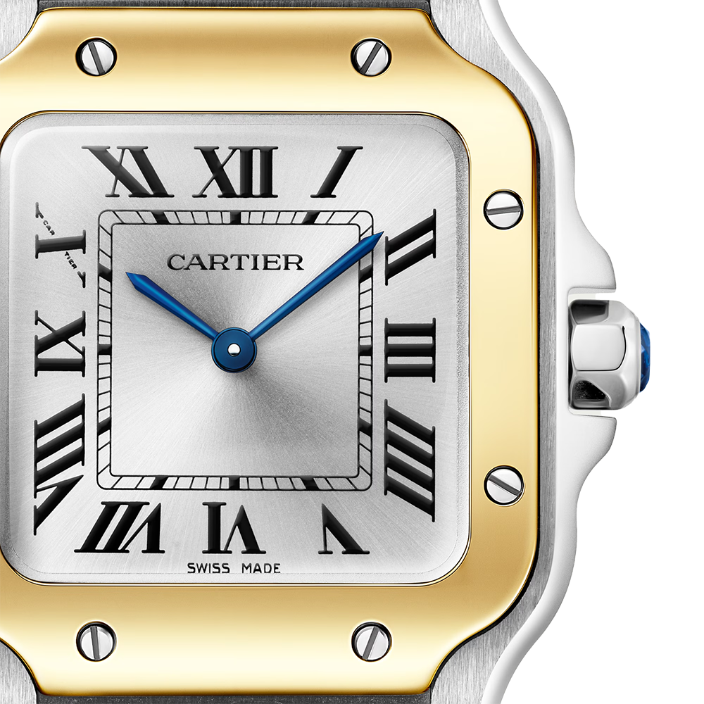 Cartier Santos de Cartier Small Watch W2SA0033