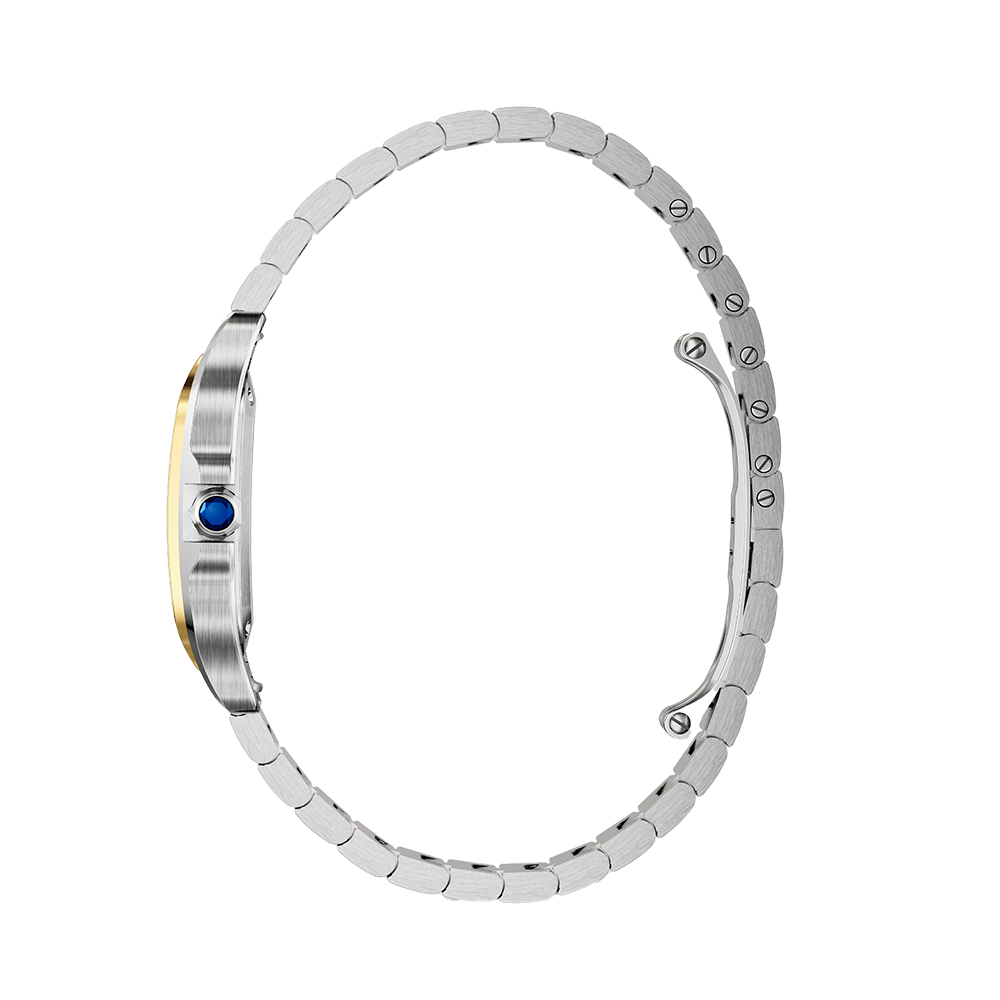 Cartier Santos de Cartier Small Watch W2SA0033