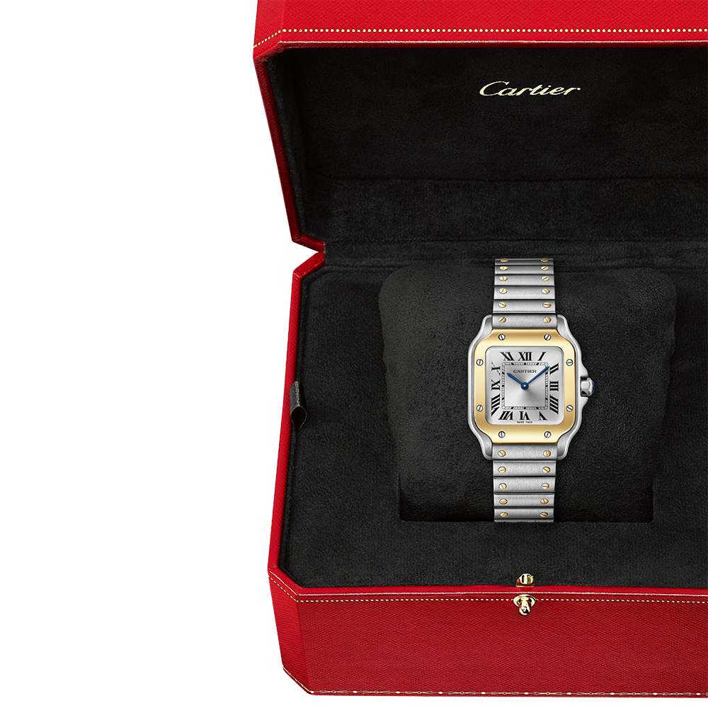 Cartier Santos de Cartier Small Watch W2SA0033
