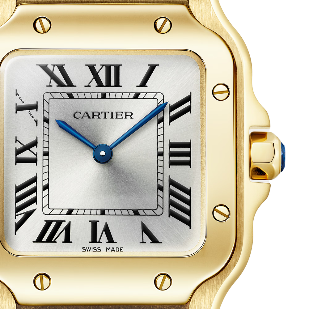 Cartier Santos de Cartier Small Watch WGSA0107