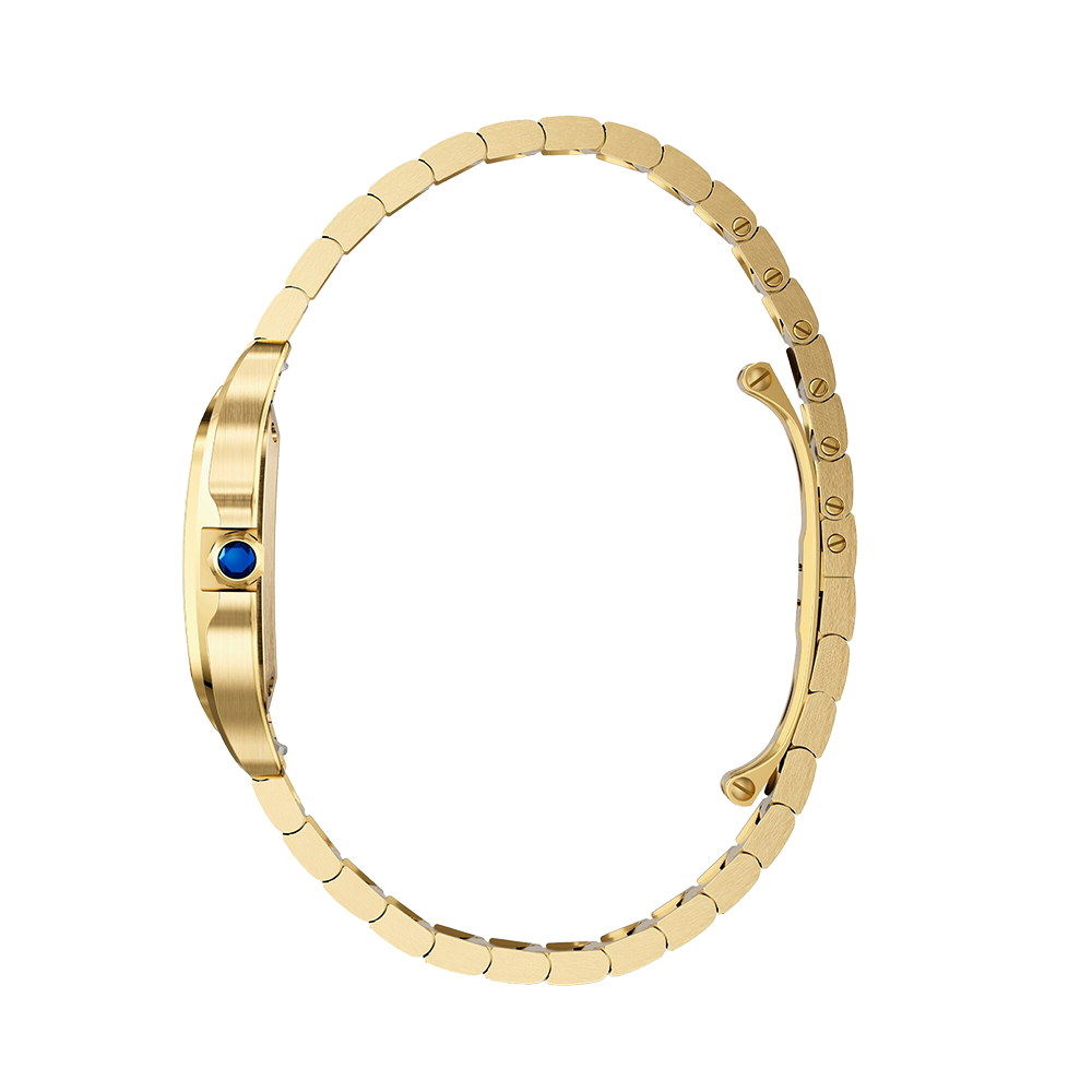 Cartier Santos de Cartier Small Watch WGSA0107