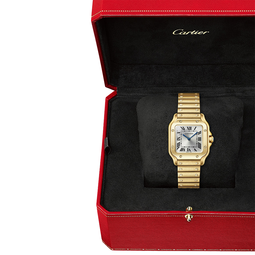 Cartier Santos de Cartier Small Watch WGSA0107