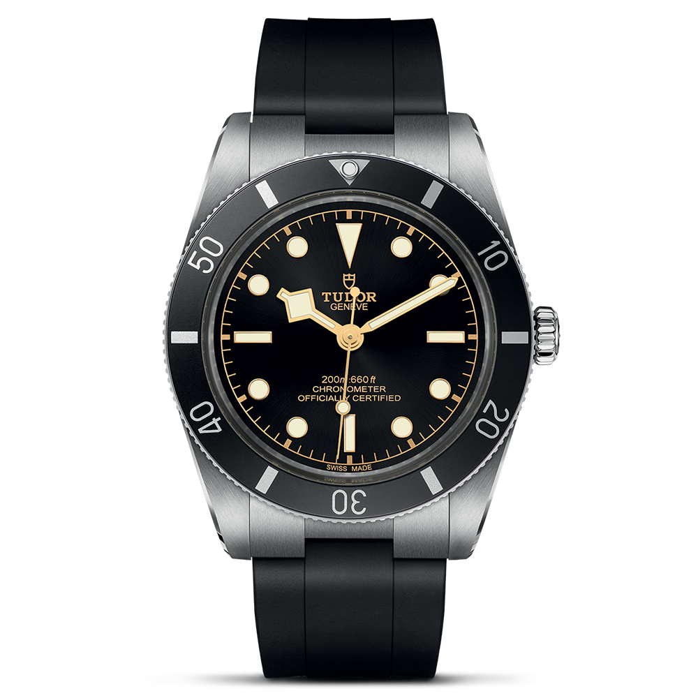 TUDOR Black Bay 54 M79000N-0002