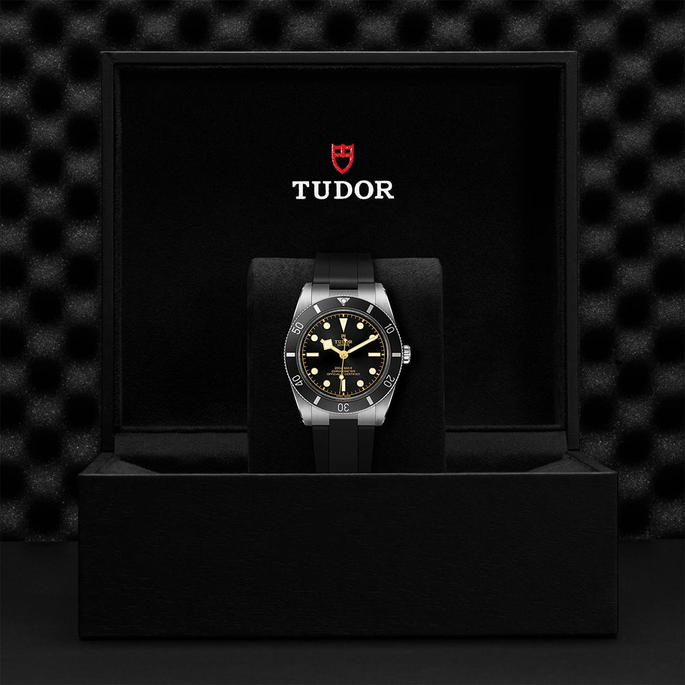 TUDOR Black Bay 54 M79000N-0002