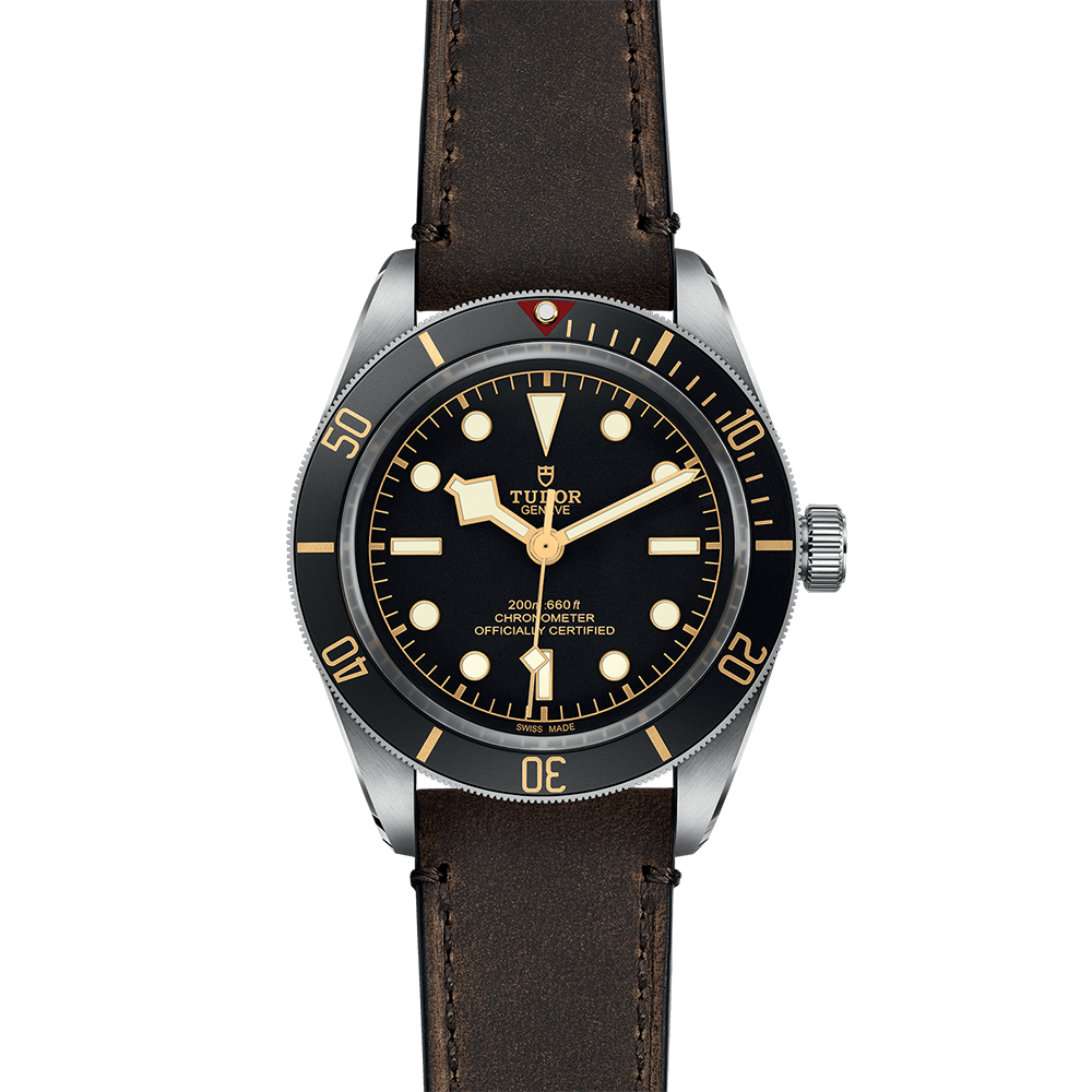 TUDOR Black Bay 58 M79030-0002