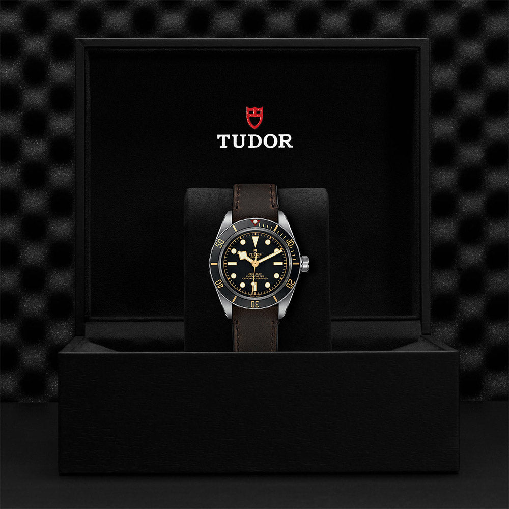 TUDOR Black Bay 58 M79030-0002