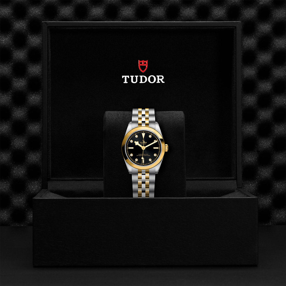 TUDOR Black Bay 31 S&G M79603-0006