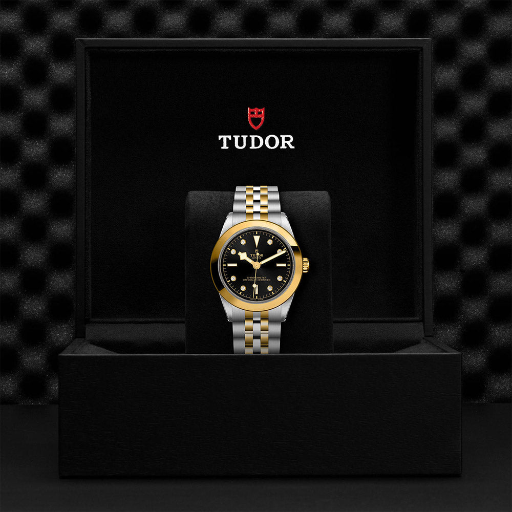 TUDOR Black Bay 39 S&G M79663-0006