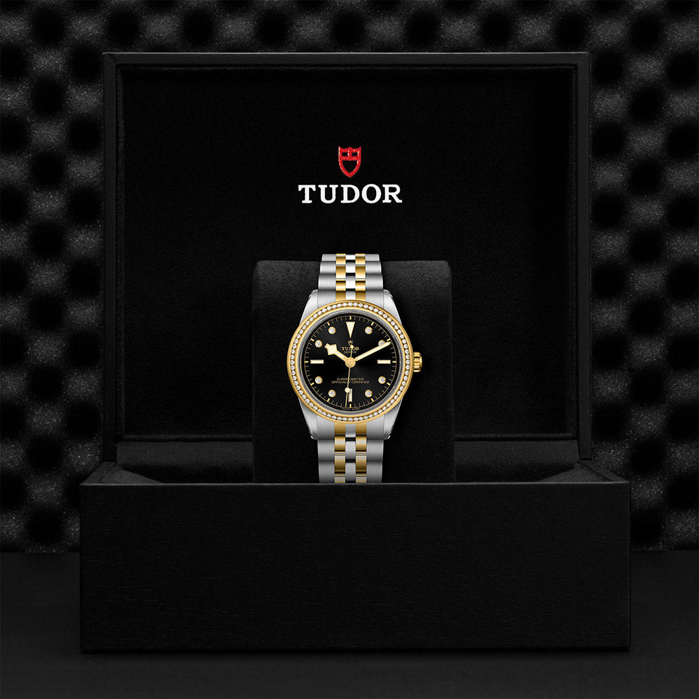 TUDOR Black Bay 39 S&G M79673-0005