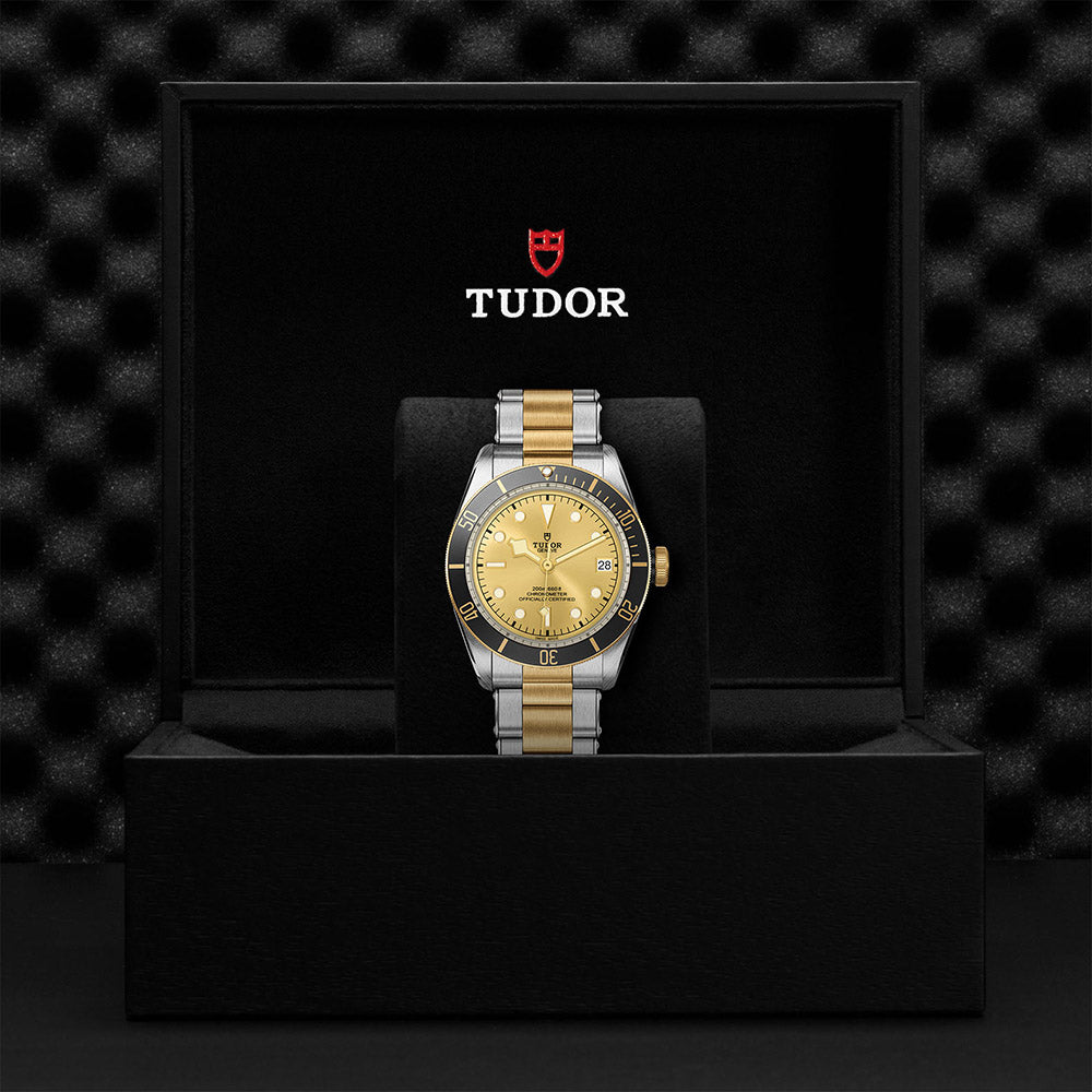 TUDOR Black Bay 41 S&G M79733N-0004