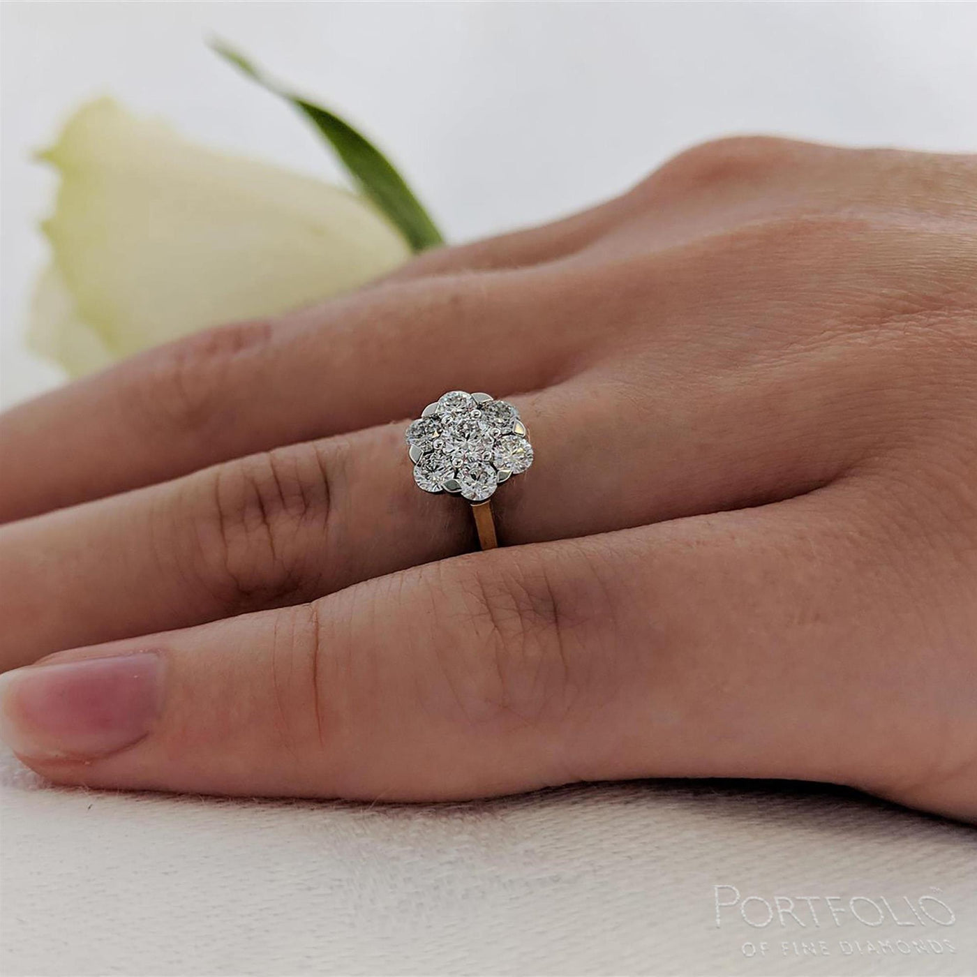 Cluster 0.16ct H VVS Diamond Yellow Gold/Platinum Ring