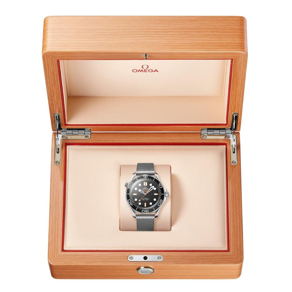 OMEGA Seamaster Diver 300M 210.30.42.20.01.018