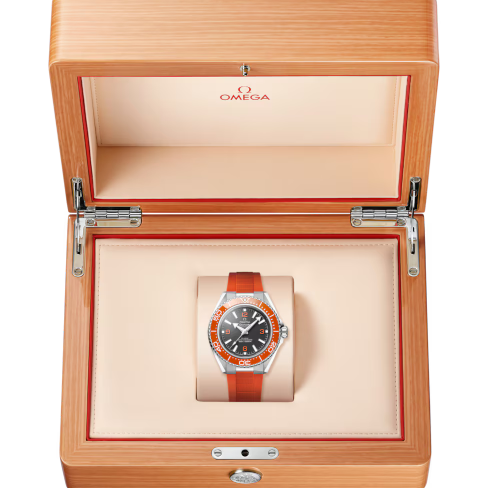 OMEGA Seamaster Planet Ocean 600M 217.32.42.21.01.004