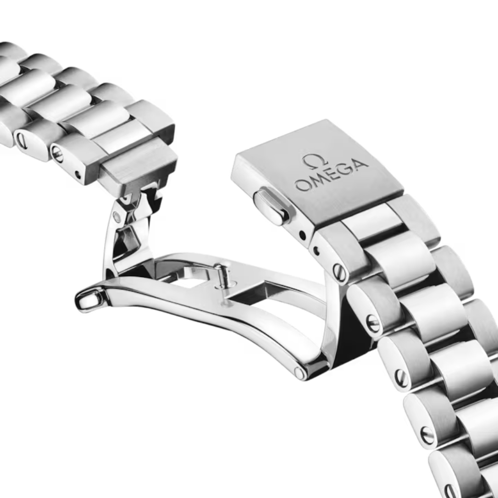 OMEGA Seamaster Aqua Terra 220.10.30.20.01.001