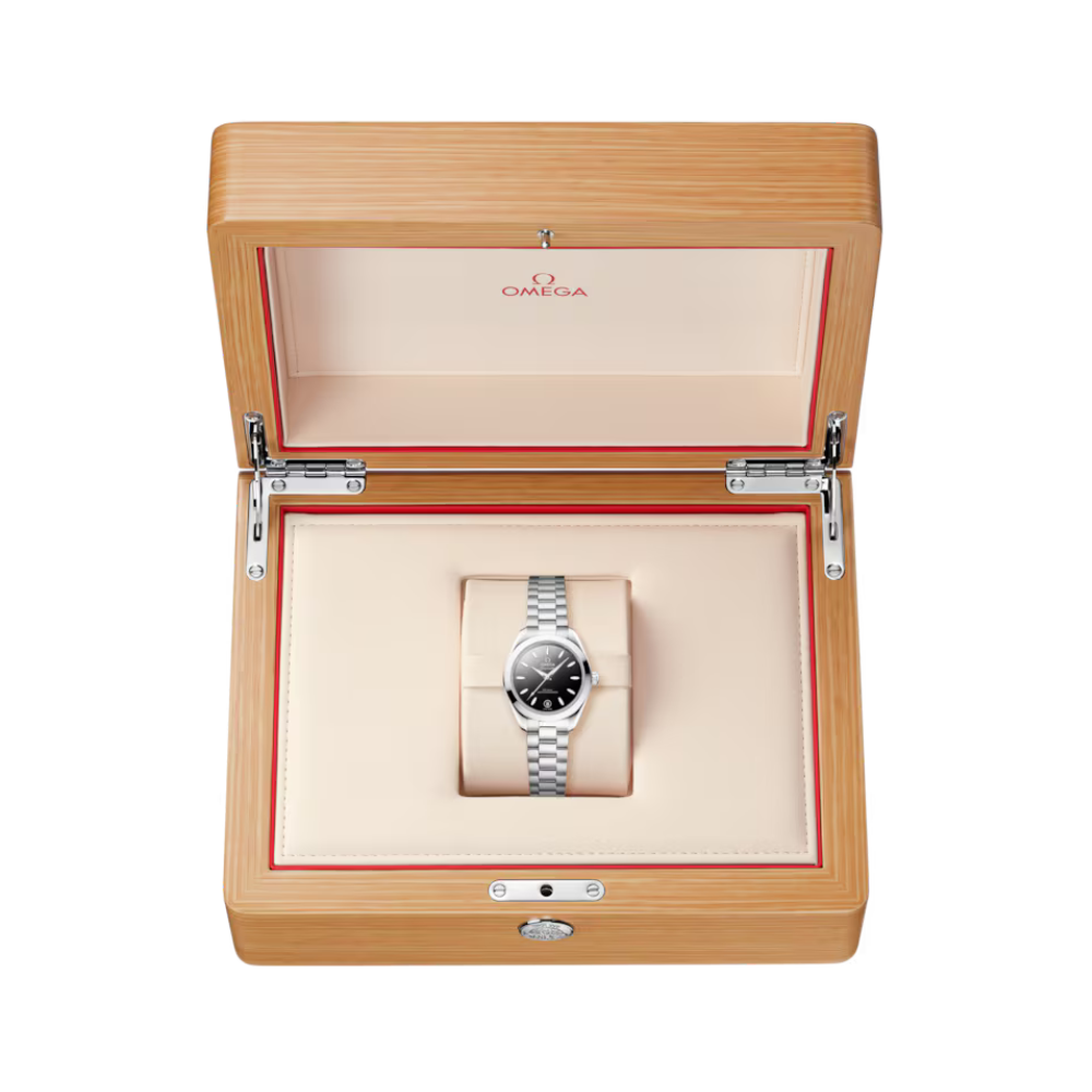 OMEGA Seamaster Aqua Terra 220.10.30.20.01.001