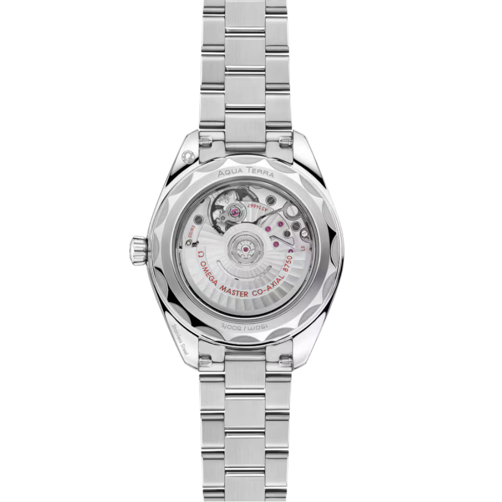 OMEGA Seamaster Aqua Terra 220.10.30.20.02.001