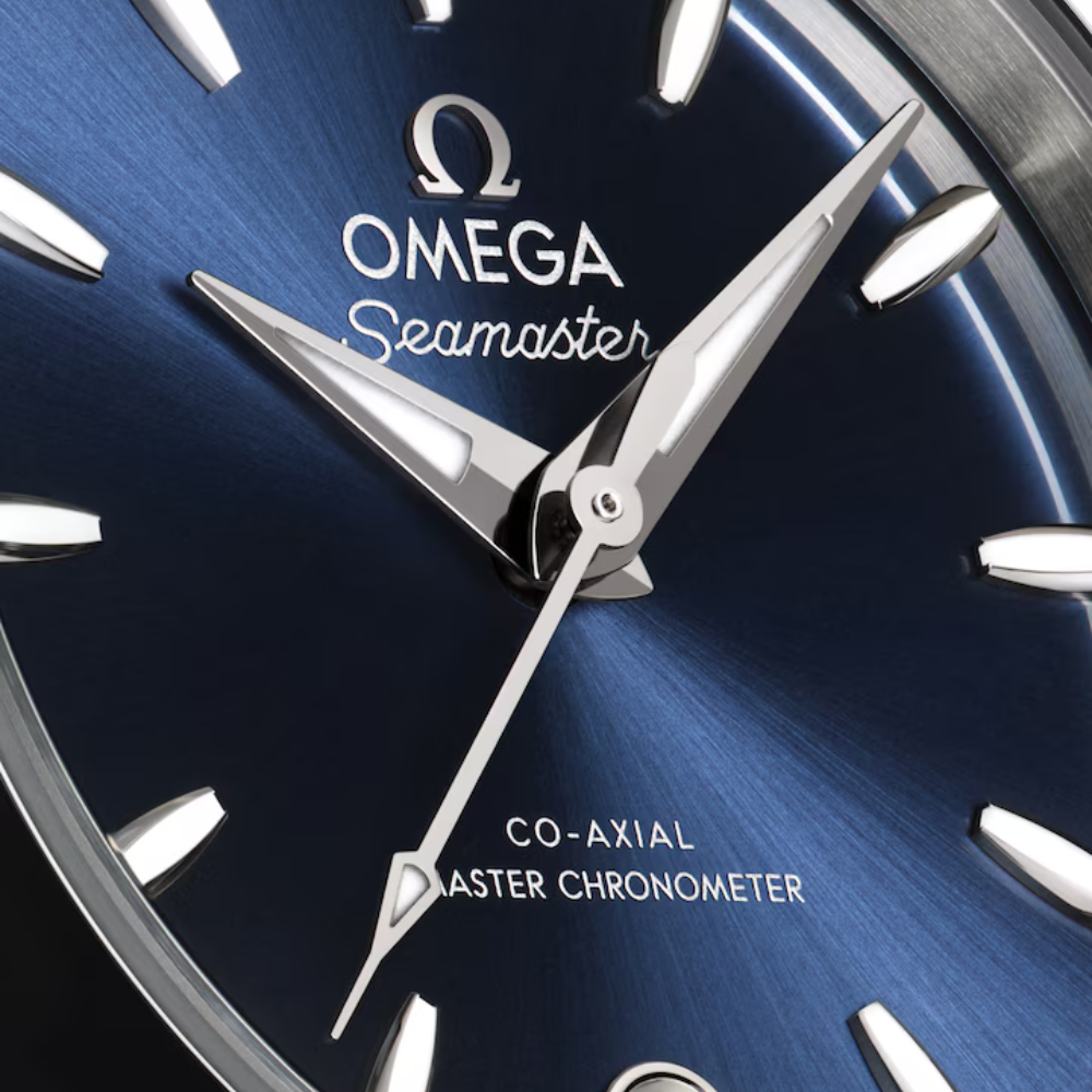 OMEGA Seamaster Aqua Terra 220.10.30.20.03.001