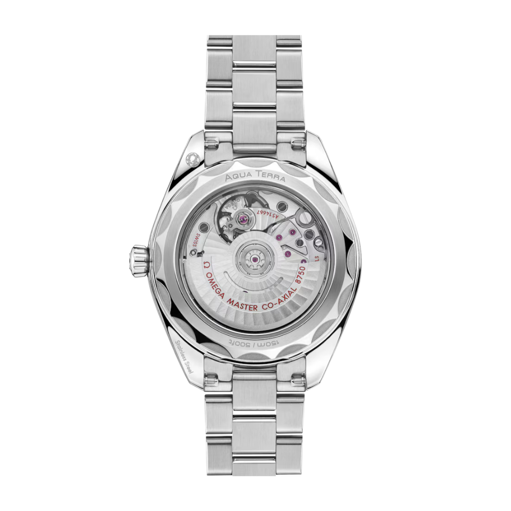 OMEGA Seamaster Aqua Terra 150M 220.10.30.20.60.001