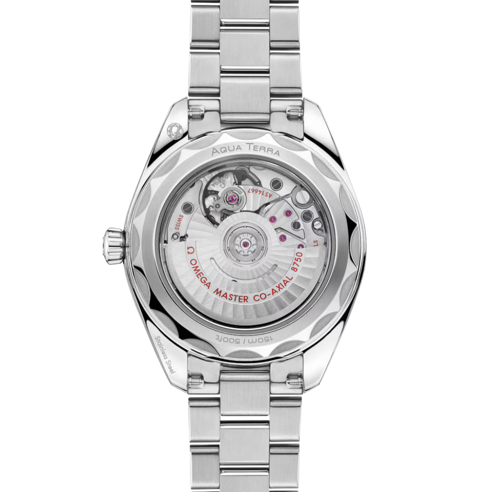 OMEGA Seamaster Aqua Terra 220.15.30.20.56.001
