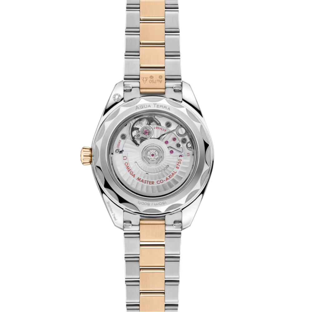 OMEGA Seamaster Aqua Terra 220.20.30.20.02.001