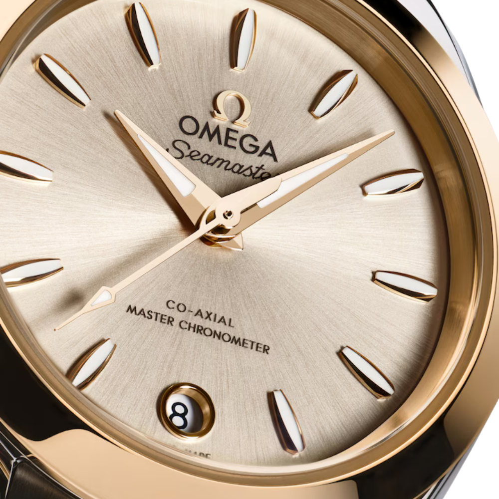 OMEGA Seamaster Aqua Terra 220.20.30.20.02.001