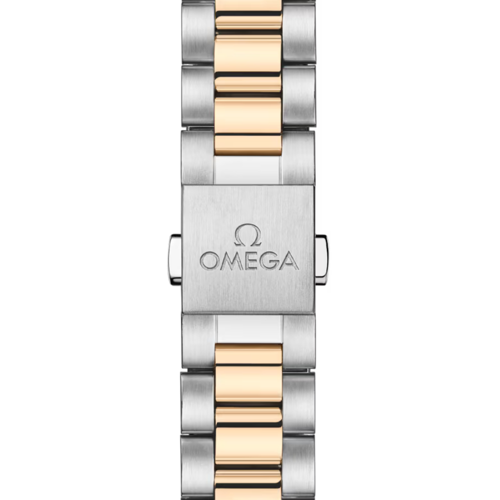 OMEGA Seamaster Aqua Terra 220.20.30.20.02.001