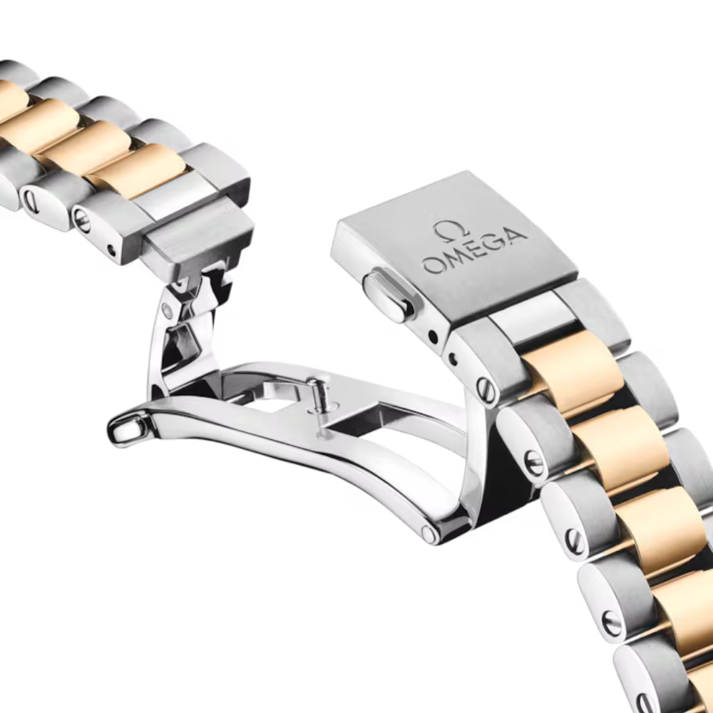 OMEGA Seamaster Aqua Terra 220.20.30.20.02.001