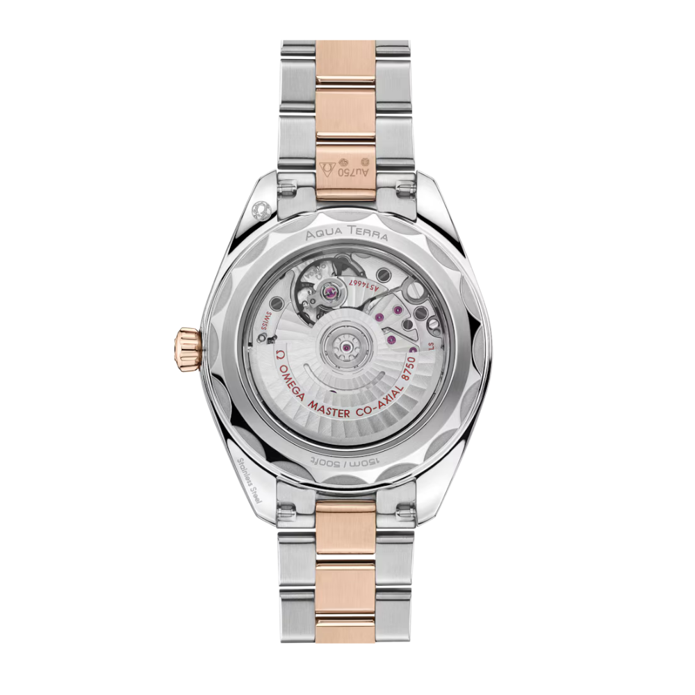 OMEGA Seamaster Aqua Terra 150M 220.20.30.20.10.002