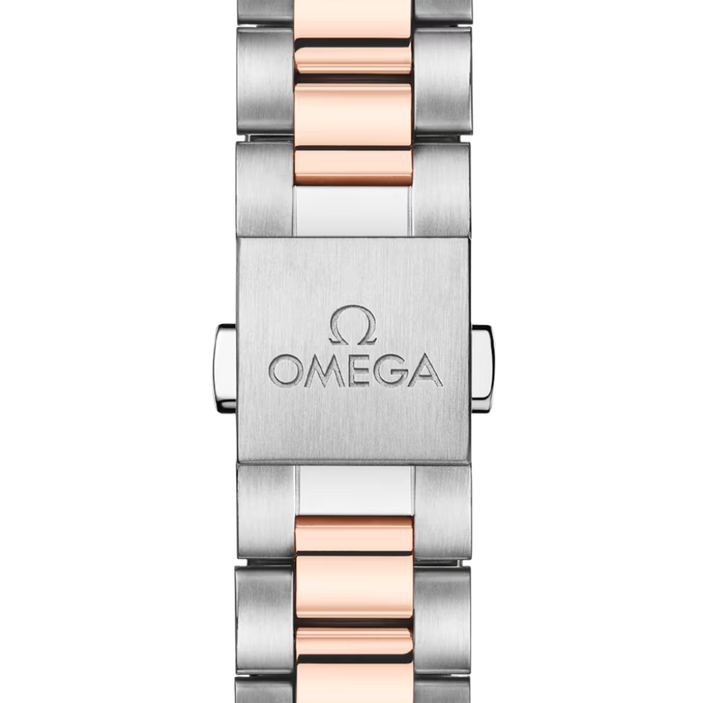 OMEGA Seamaster Aqua Terra 150M 220.20.30.20.10.002