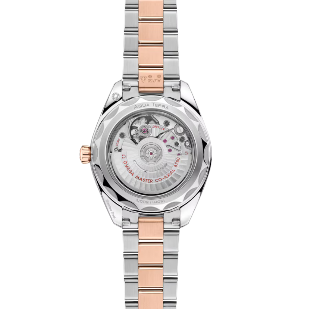 OMEGA Seamaster Aqua Terra 220.20.30.20.63.001