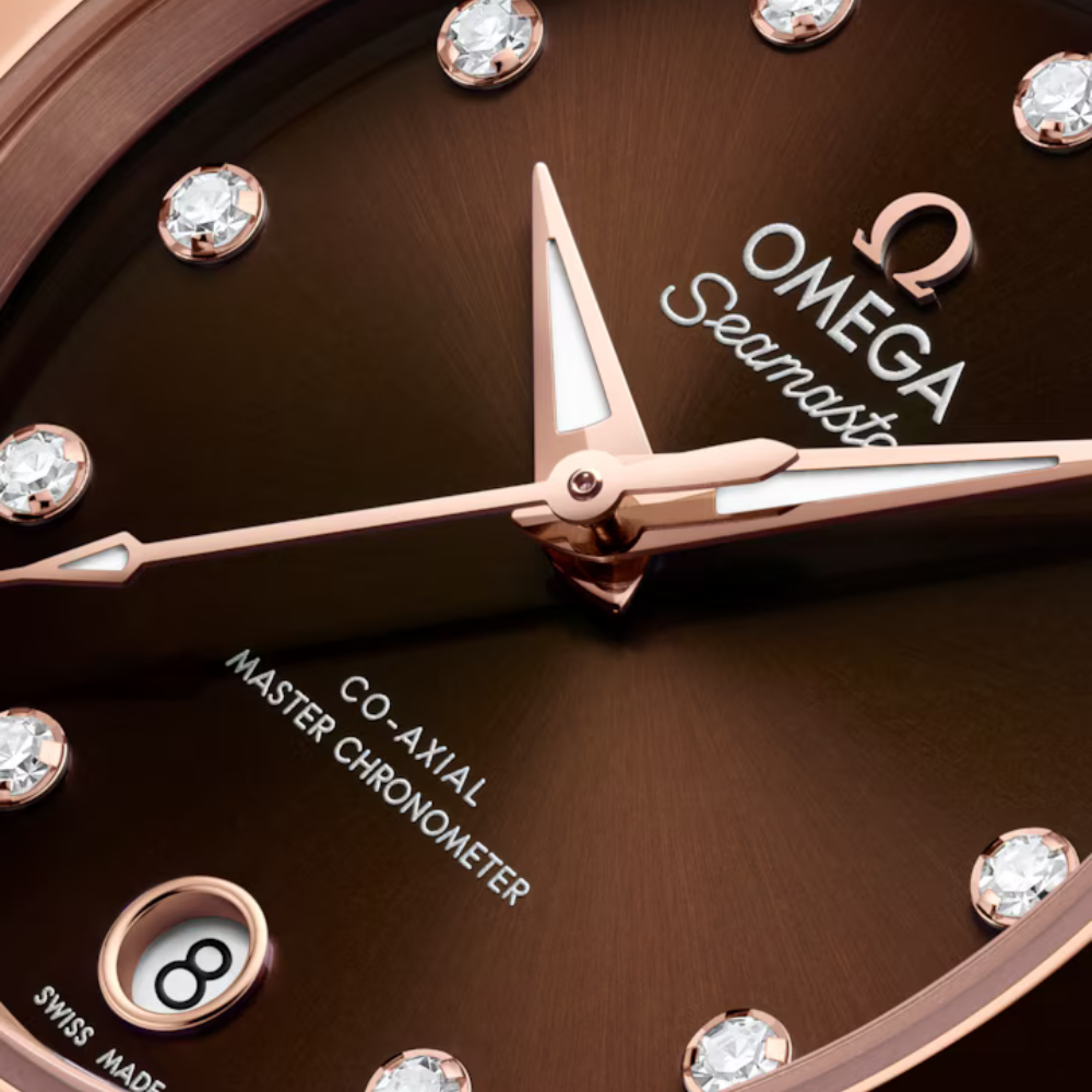 OMEGA Seamaster Aqua Terra 220.20.30.20.63.001