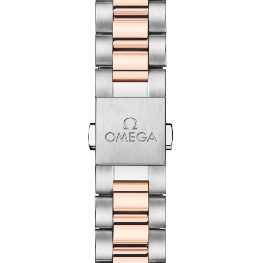 OMEGA Seamaster Aqua Terra 220.20.30.20.63.001
