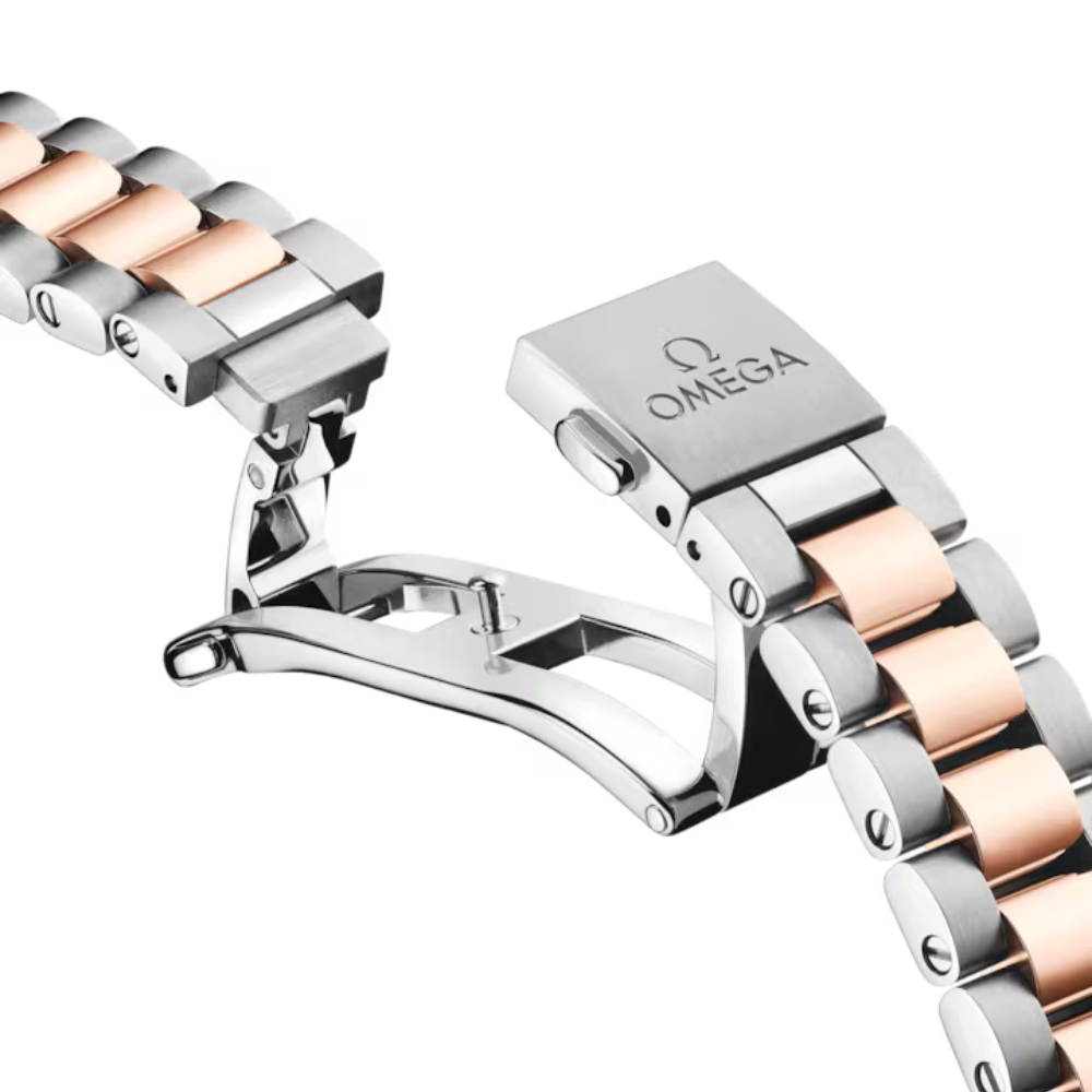 OMEGA Seamaster Aqua Terra 220.20.30.20.63.001