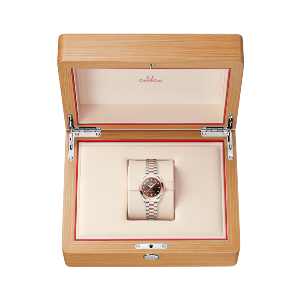 OMEGA Seamaster Aqua Terra 220.20.30.20.63.001