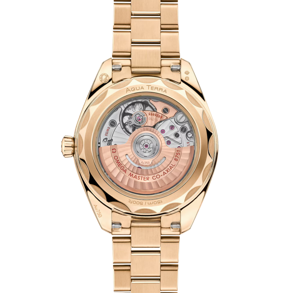 OMEGA Seamaster Aqua Terra 220.55.30.20.60.001
