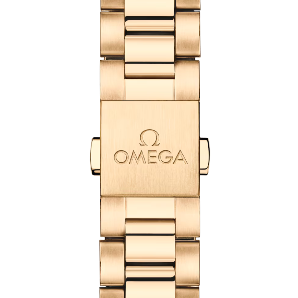 OMEGA Seamaster Aqua Terra 220.55.30.20.60.001