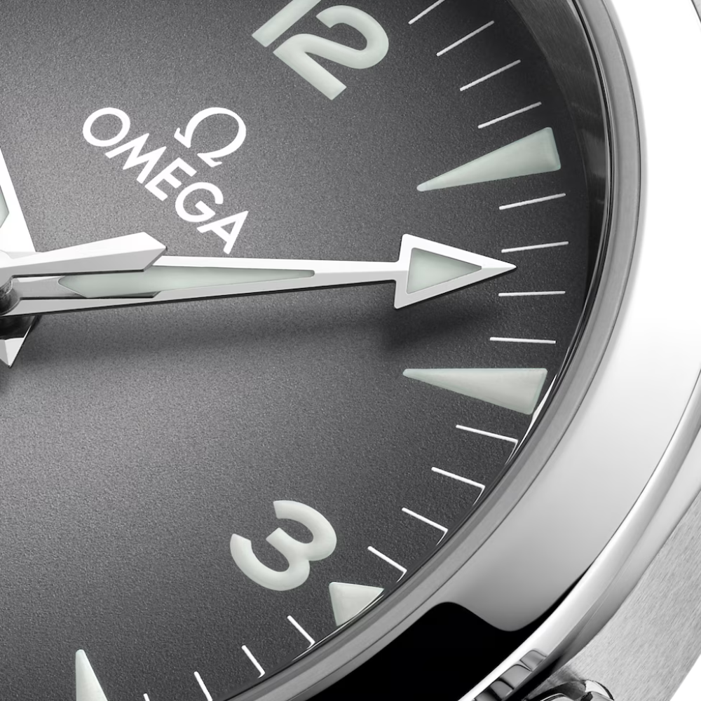 OMEGA Seamaster Railmaster 235.10.38.20.06.001
